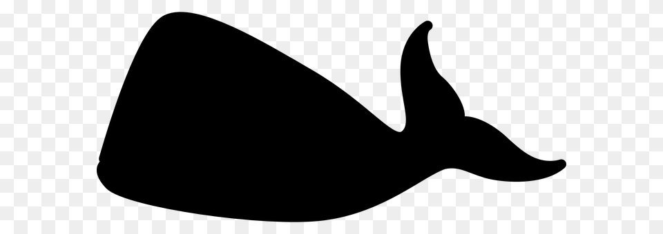 Whale Gray Free Png Download
