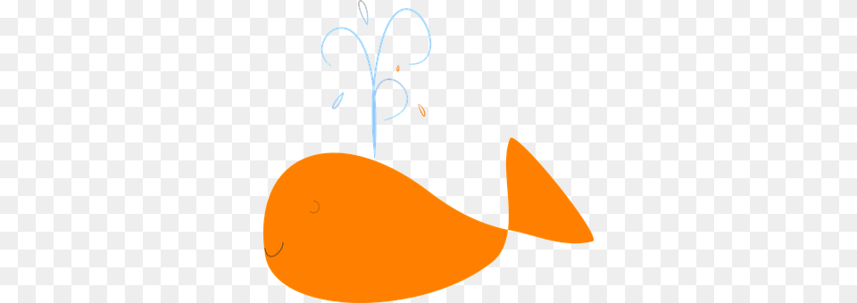 Whale Art, Graphics, Vegetable, Carrot Png