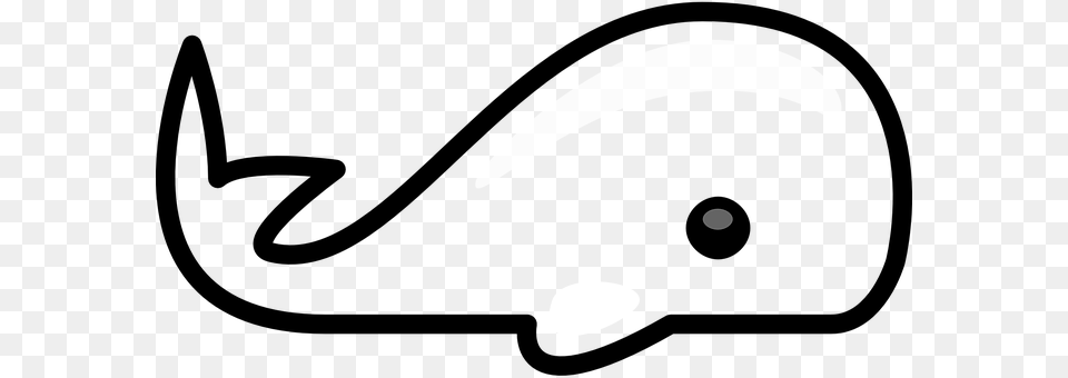 Whale Free Png