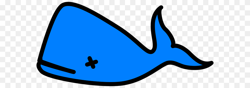Whale Animal, Fish, Sea Life, Shark Png Image