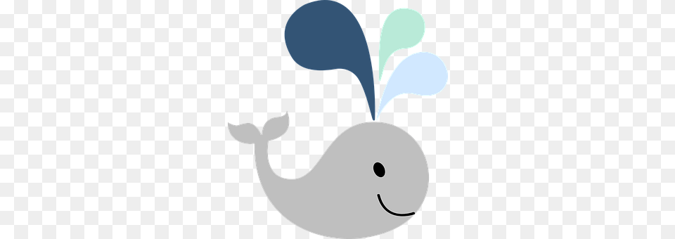 Whale Free Transparent Png