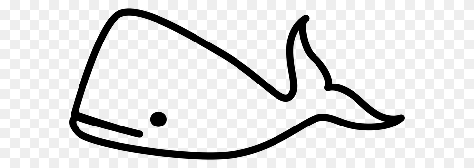 Whale Gray Free Transparent Png