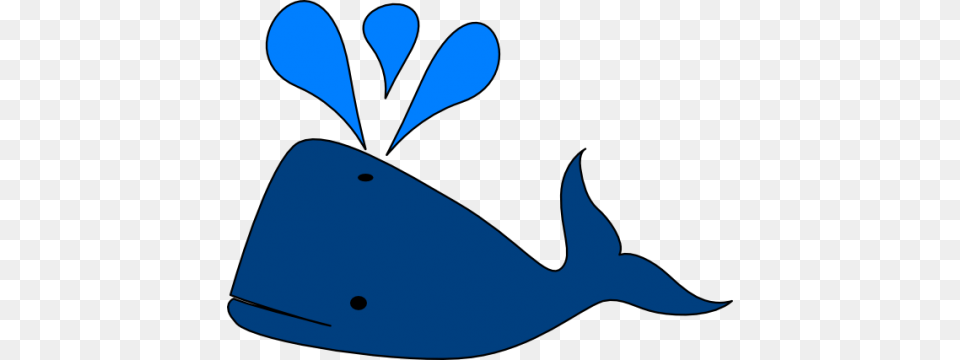 Whale, Animal, Sea Life, Clothing, Hat Free Transparent Png