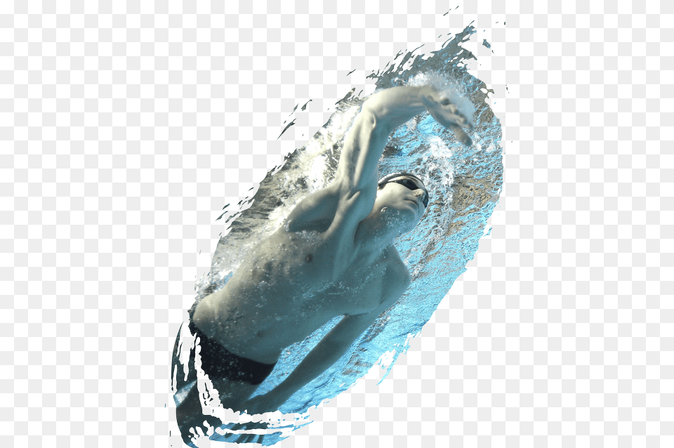 Whale, Leisure Activities, Person, Sport, Swimming Free Png