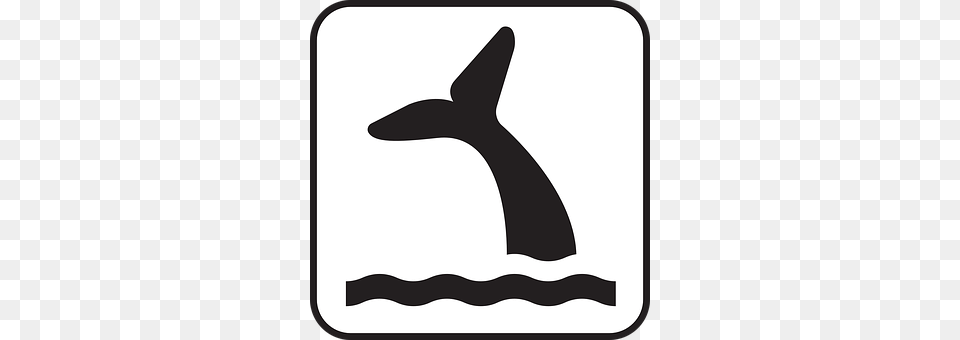 Whale Silhouette, Stencil, Animal, Mammal Free Png Download