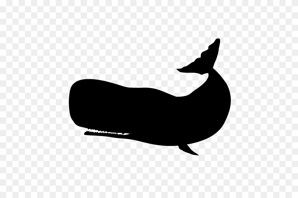 Whale Animal Silhouette Illustrations, Gray Png Image