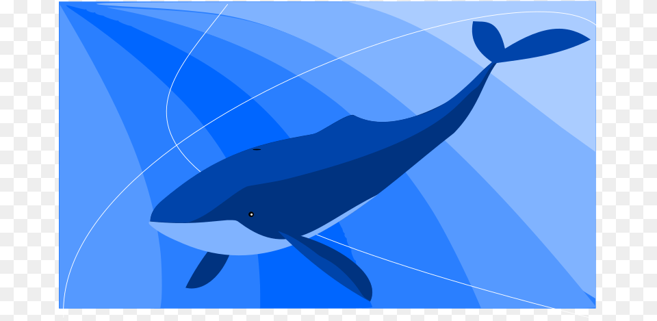 Whale Ballena Azul, Animal, Mammal, Sea Life, Fish Free Transparent Png