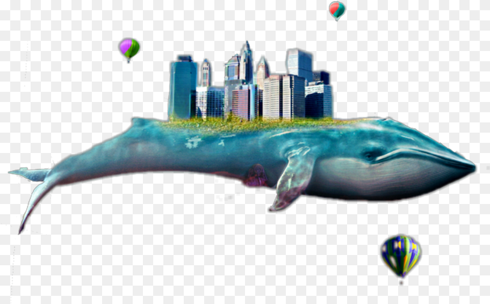 Whale City Floating Freetoedit Blue Whale, Balloon, Animal, Sea Life, Mammal Free Transparent Png