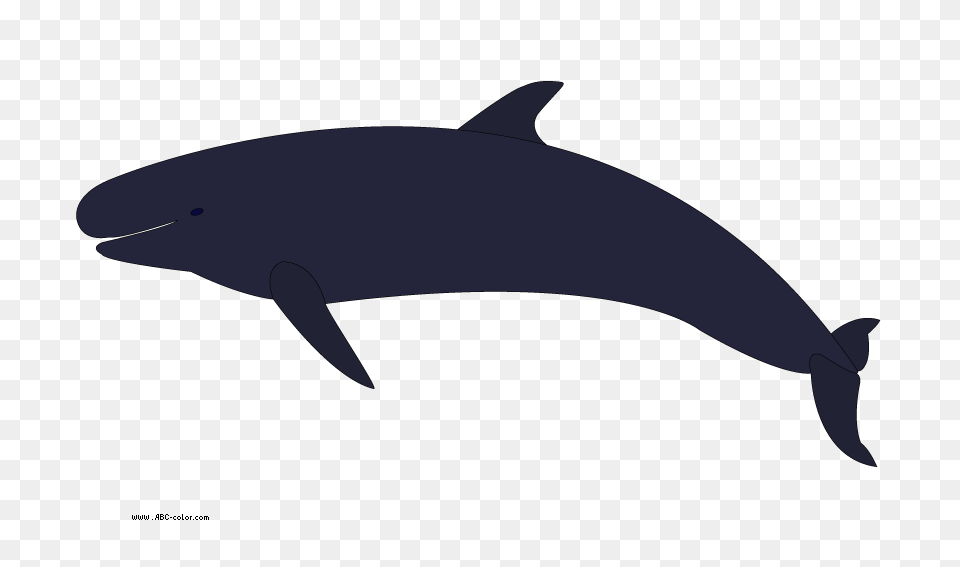 Whale Clip Art, Animal, Sea Life, Mammal, Fish Free Transparent Png