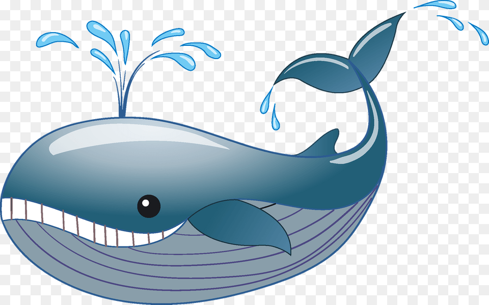 Whale Clipart, Animal, Mammal, Sea Life, Fish Free Transparent Png