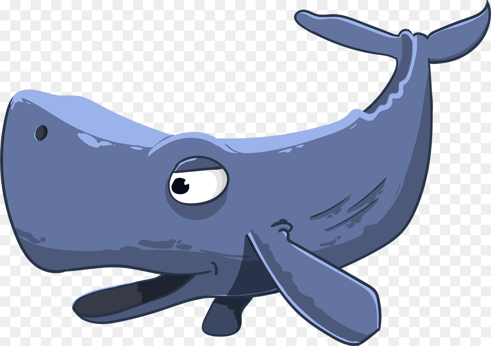 Whale Clipart, Animal, Mammal, Sea Life, Fish Free Png