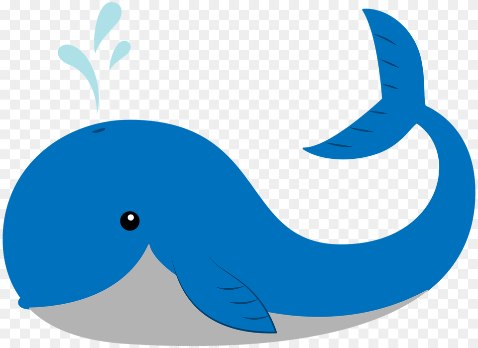 Whale Clipart, Animal, Sea Life, Mammal, Fish Free Png