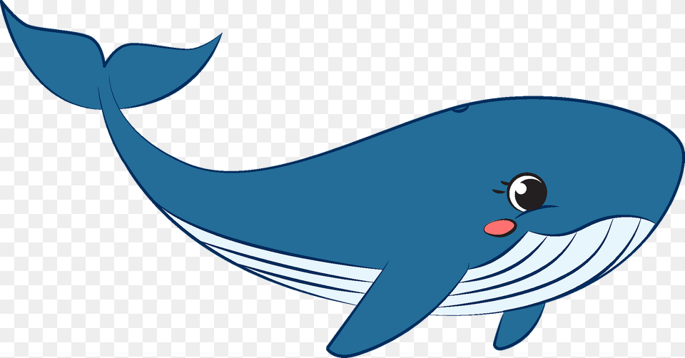 Whale Clipart, Animal, Mammal, Sea Life, Fish Free Transparent Png