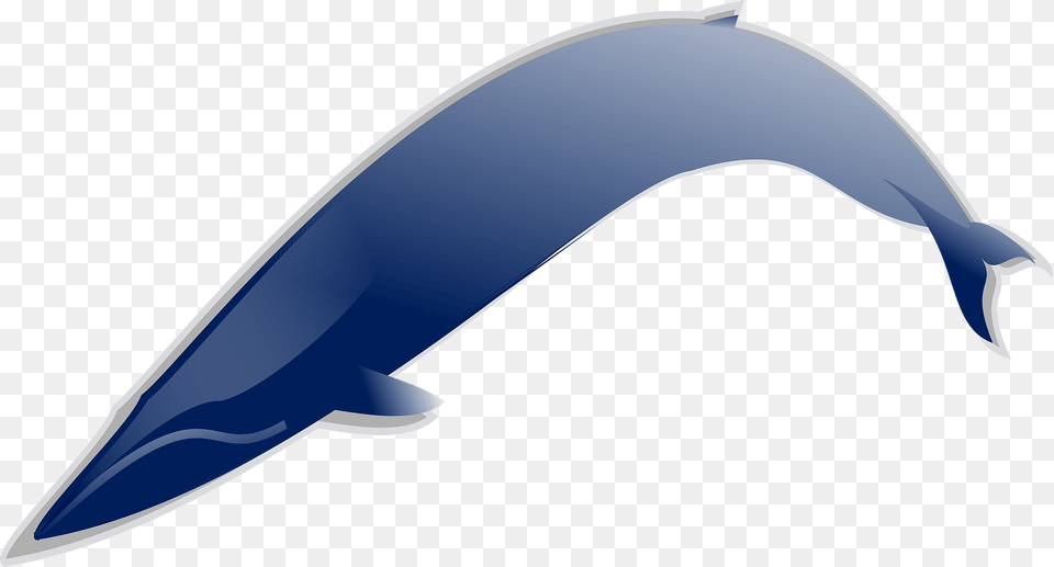 Whale Clipart, Animal, Mammal, Sea Life, Blade Png