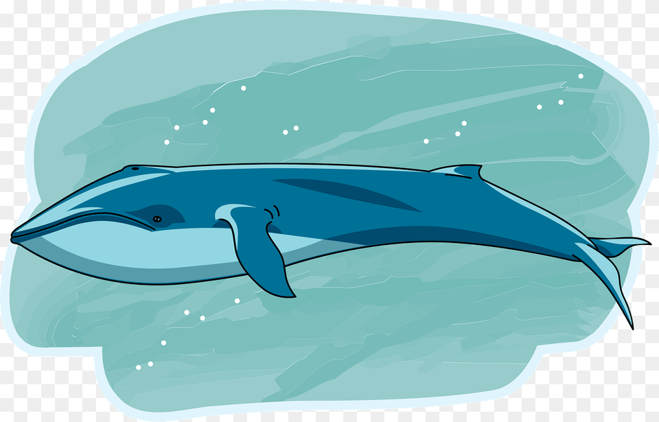 Whale Clipart, Animal, Mammal, Sea Life, Dolphin Free Png Download