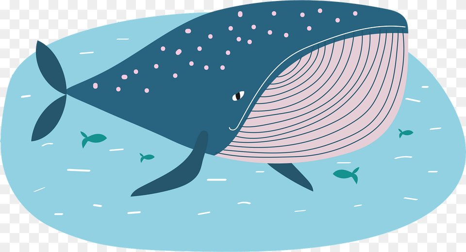 Whale Clipart, Animal, Mammal, Sea Life Free Transparent Png