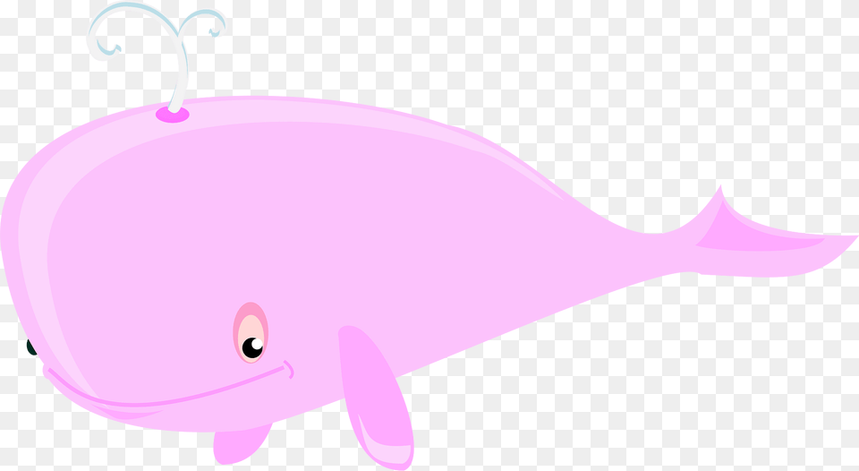 Whale Clipart, Animal, Fish, Sea Life, Shark Free Transparent Png