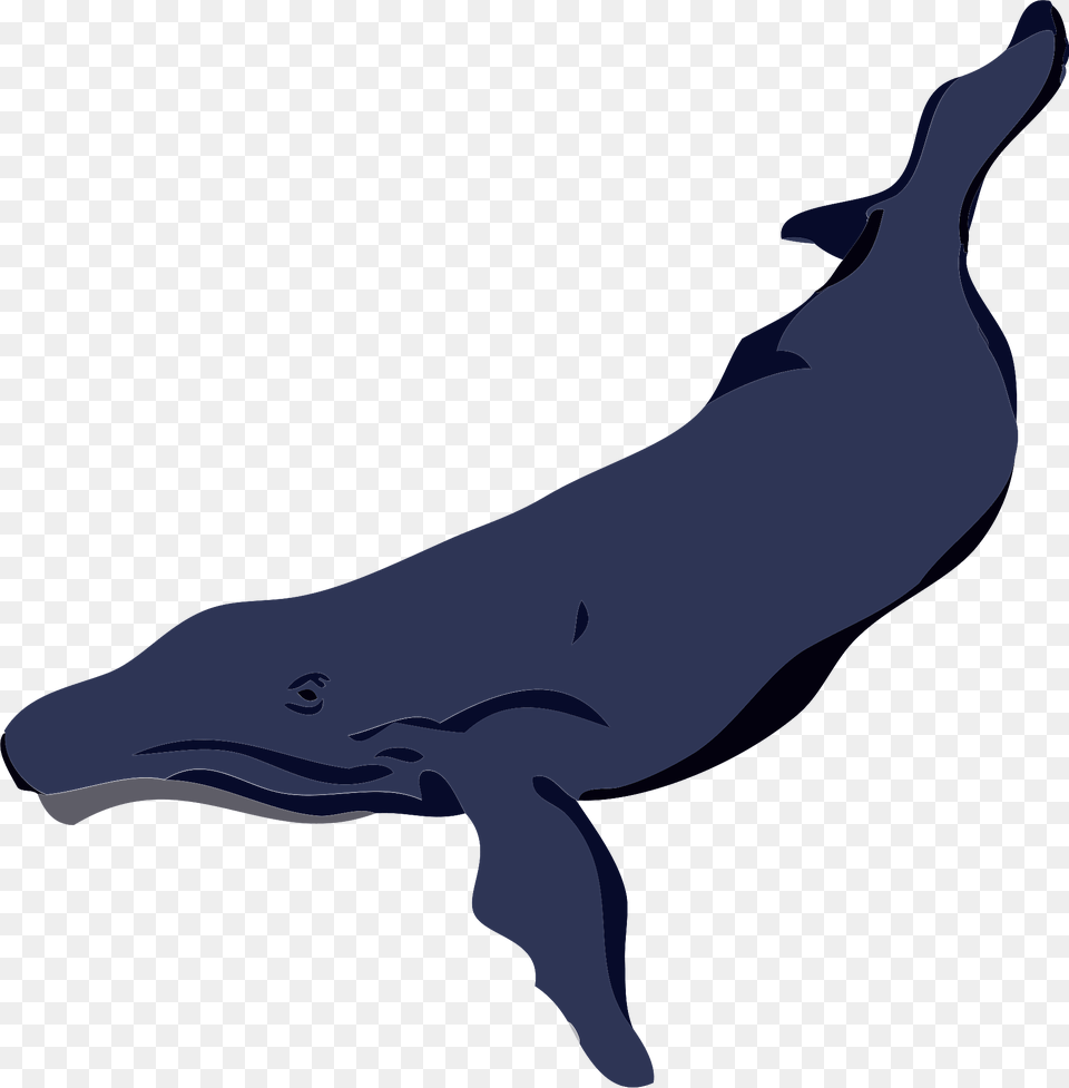 Whale Clipart, Animal, Mammal, Sea Life, Fish Free Png Download