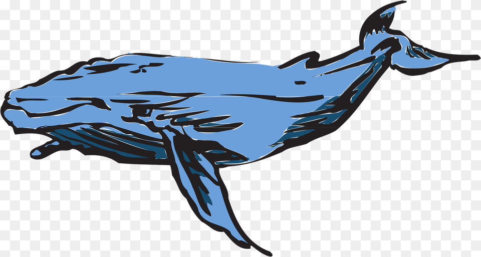 Whale Clipart, Animal, Mammal, Sea Life, Person Png Image