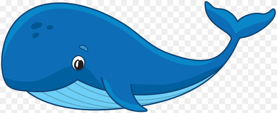 Whale Clipart, Animal, Mammal, Sea Life, Fish Png