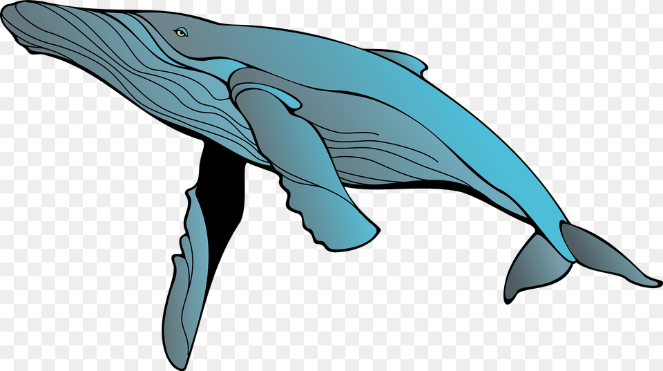 Whale Clipart, Animal, Mammal, Sea Life, Fish Free Png