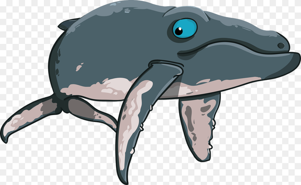 Whale Clipart, Animal, Dolphin, Mammal, Sea Life Free Transparent Png