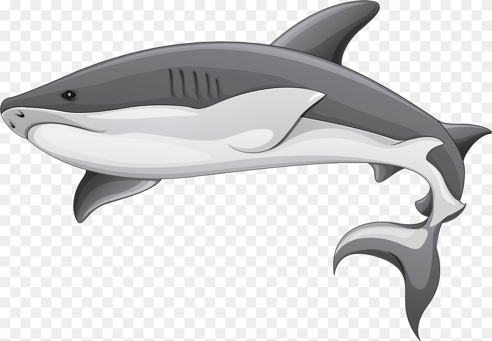Whale Clipart Black And White Shark Clipart Transparent Background, Animal, Sea Life, Fish Free Png