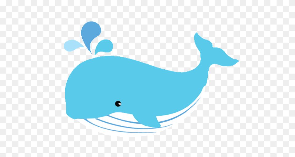 Whale Clipart Blue Color, Animal, Mammal, Sea Life, Beluga Whale Png Image