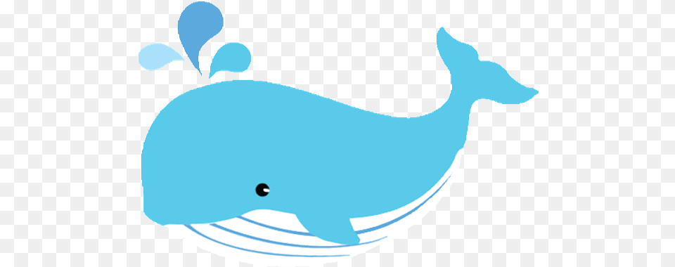 Whale Clipart Clip Art, Animal, Mammal, Sea Life, Beluga Whale Png Image
