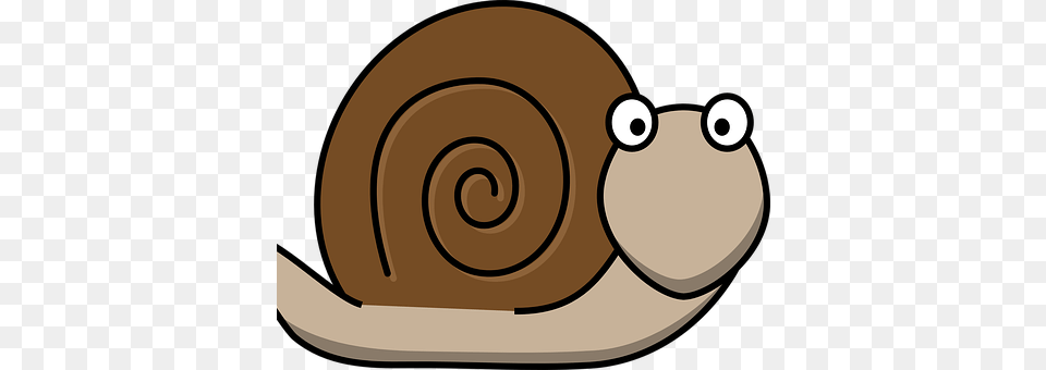 Whale Clipart Snail, Animal, Disk, Invertebrate Png Image