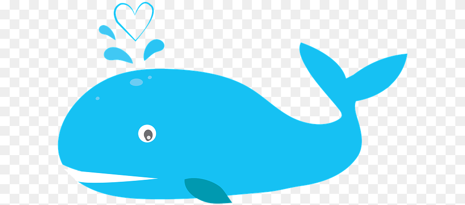 Whale Heart Ocean Free On Pixabay Prophet Yunus Story Clipart, Animal, Beluga Whale, Mammal, Sea Life Png