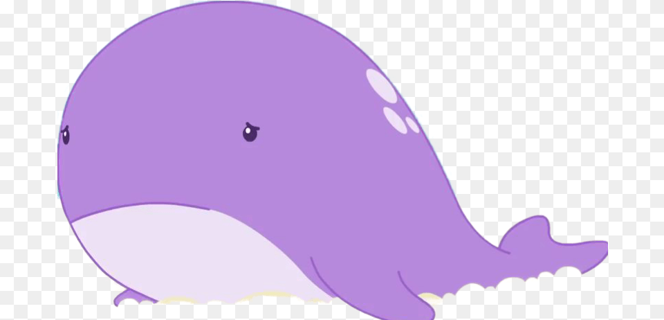 Whale Molang Wikia Fandom Tucuxi, Animal, Mammal, Sea Life, Purple Png