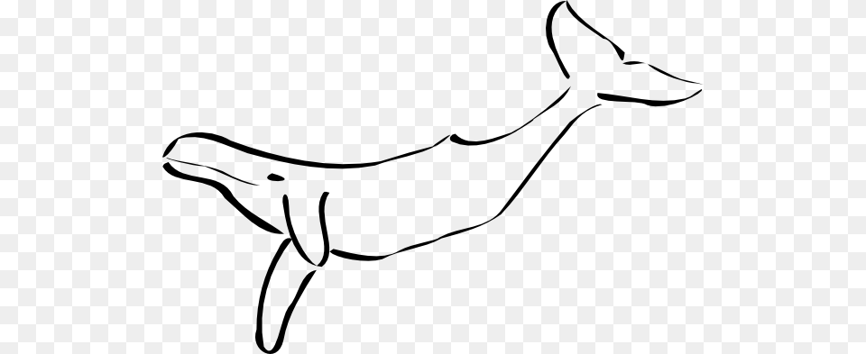 Whale Outline Clip Art, Animal, Sea Life, Smoke Pipe, Mammal Png