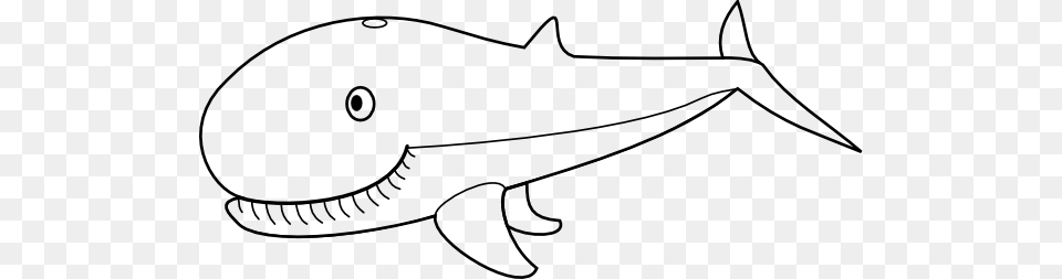 Whale Outline Whale Svg Clip Art For Web Download Outline Pictures Of Whale, Animal, Sea Life, Accessories, Sunglasses Free Transparent Png