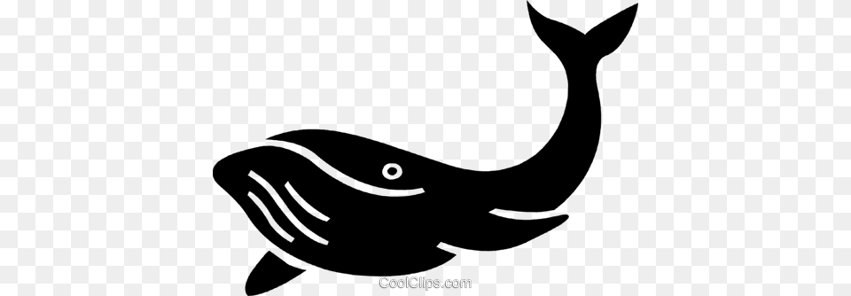 Whale Royalty Vector Clip Art Illustration, Animal, Mammal, Sea Life, Fish Free Transparent Png