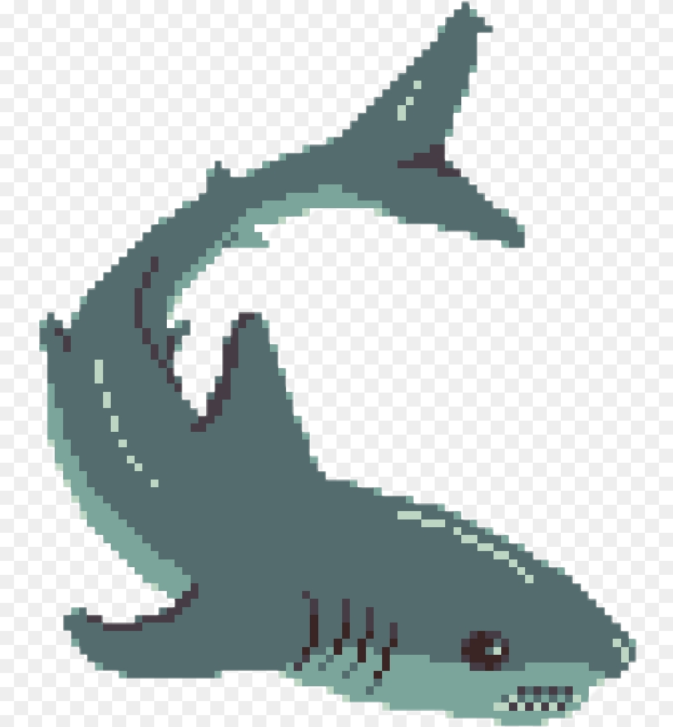 Whale Shark, Animal, Fish, Sea Life, Blackboard Png Image