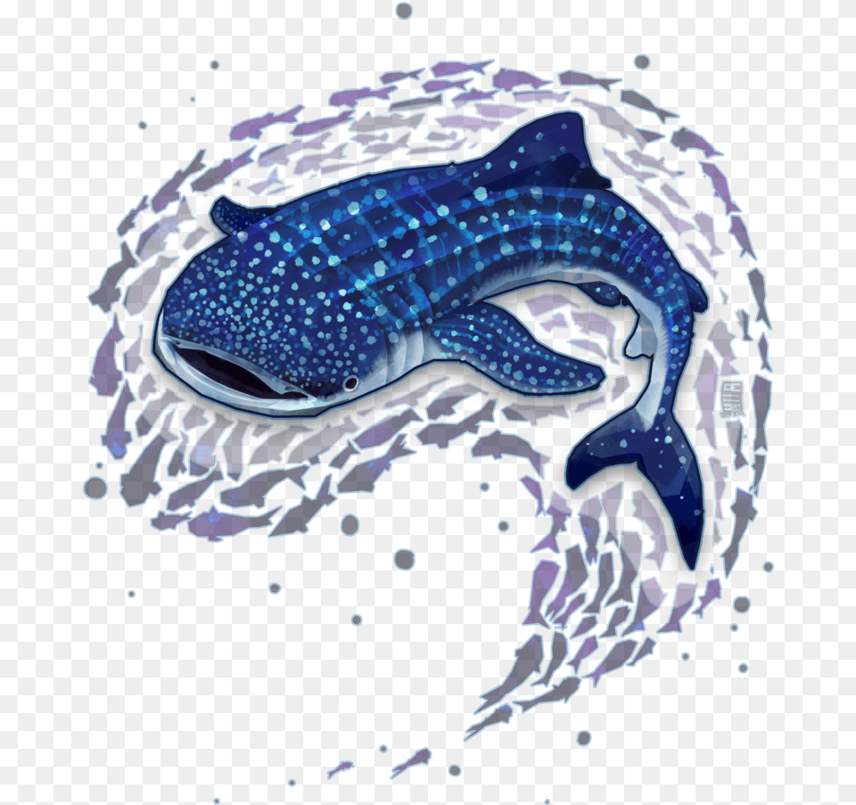 Whale Shark By Stormful Whale Shark Drawing, Animal, Sea Life, Mammal, Aquatic Free Png