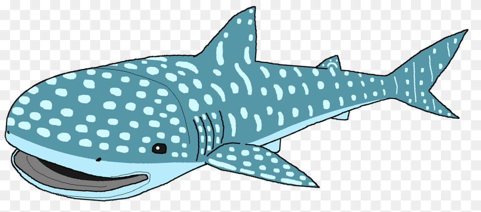 Whale Shark Clipart, Animal, Sea Life, Fish, Mammal Free Transparent Png