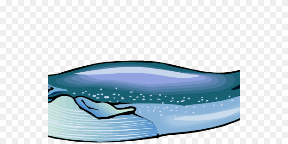 Whale Shark Clipart Disney, Ice, Animal, Mammal, Nature Png