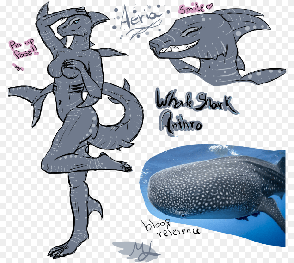 Whale Shark Clipart Furry Sexy Anthro Whale Shark, Animal, Fish, Person, Sea Life Free Png