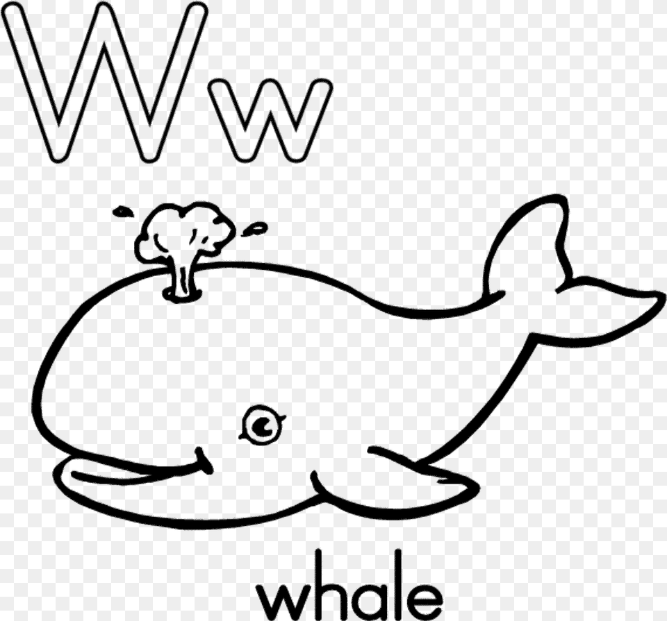 Whale Shark Clipart Paus Black And White Whale Clipart, Gray Png Image
