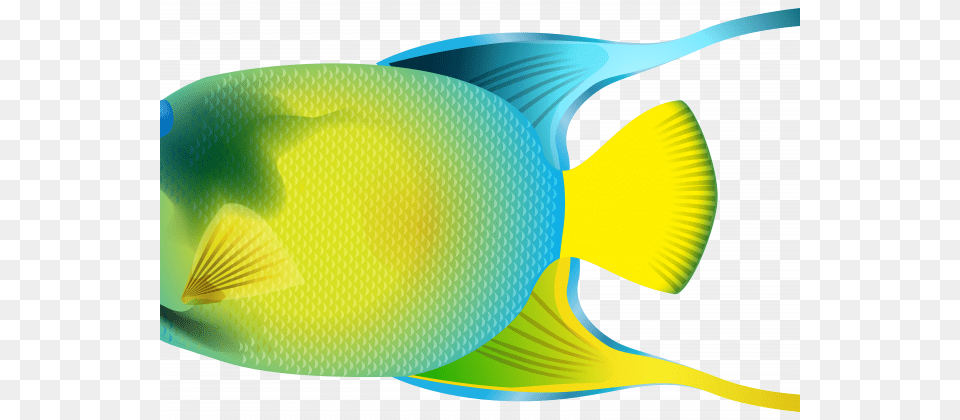 Whale Shark Clipart Angelfish, Animal, Fish, Sea Life Free Transparent Png