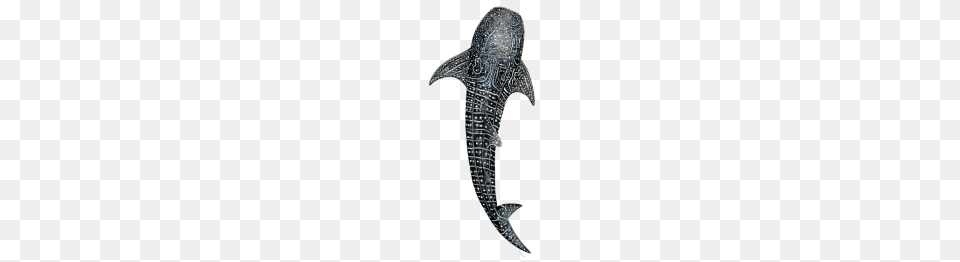 Whale Shark Design For Divers Fishermen, Animal, Sea Life, Fish Free Png Download