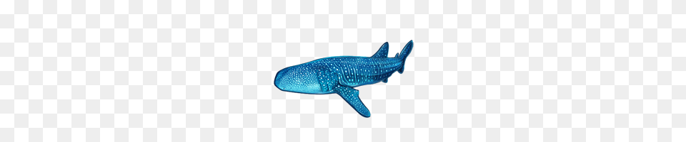 Whale Shark Mafia Wars Wiki Fandom Powered, Animal, Fish, Sea Life, Mammal Free Transparent Png
