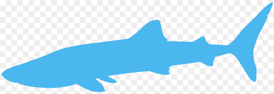 Whale Shark Silhouette, Animal, Sea Life, Fish Free Png Download