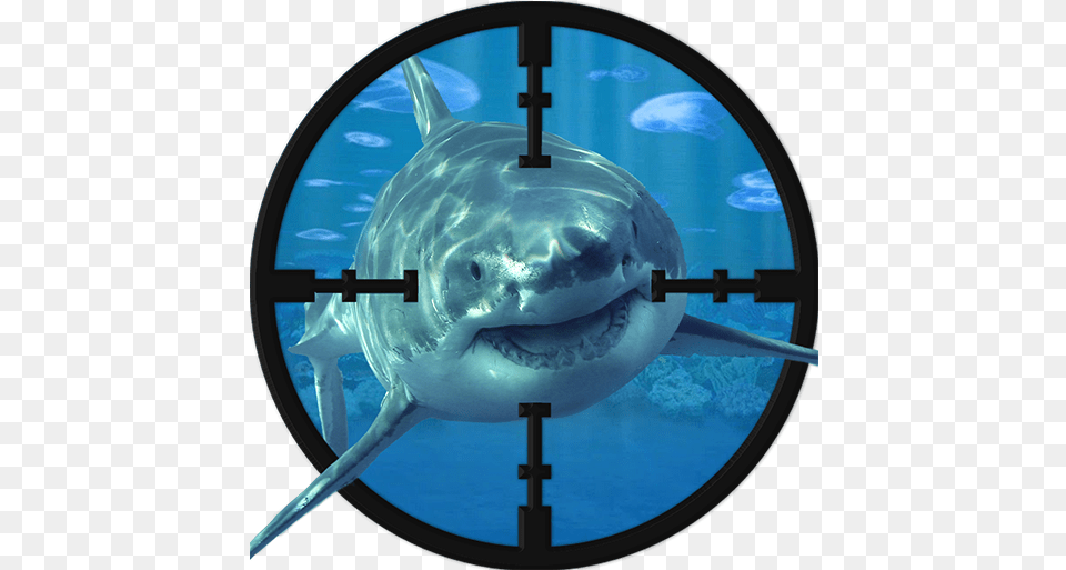 Whale Shark Sniper Shooting Hunting Clipart, Animal, Fish, Sea Life Free Transparent Png
