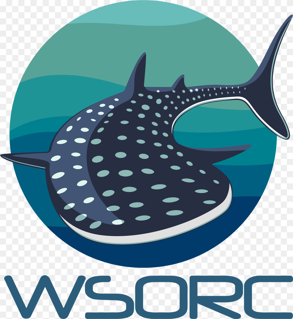 Whale Shark Vector, Animal, Mammal, Sea Life, Fish Free Transparent Png
