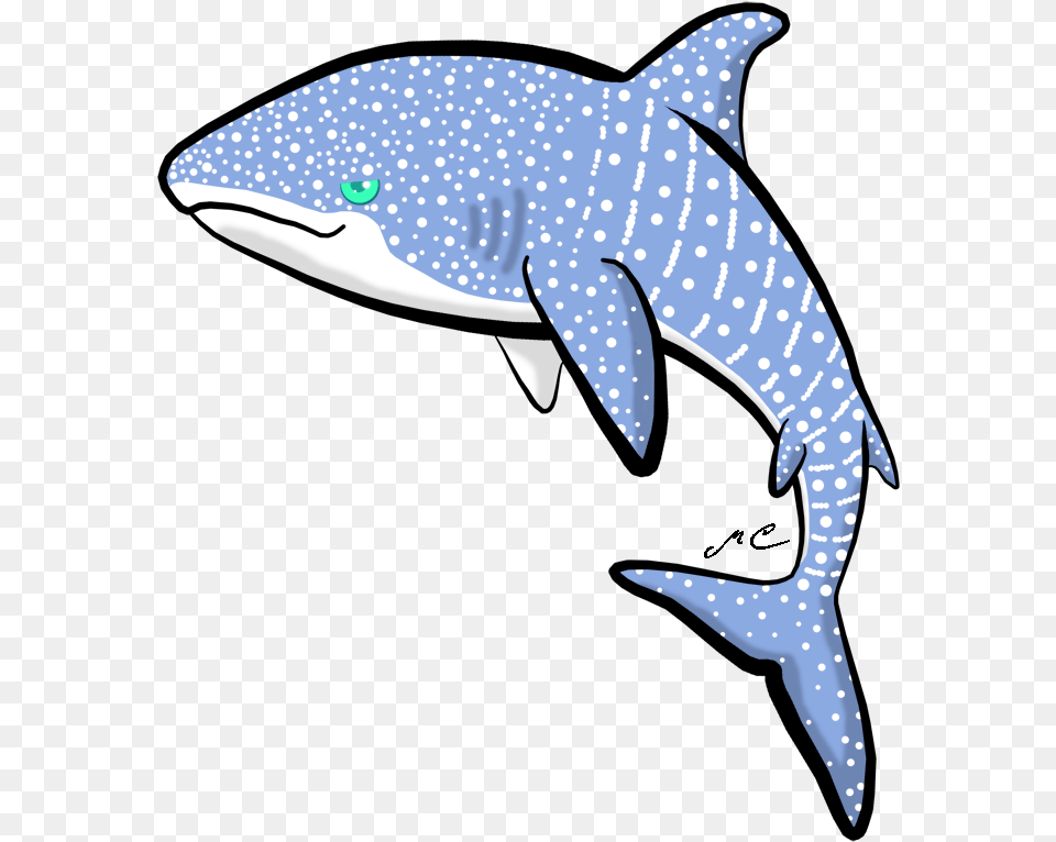 Whale Shark Whale Shark Clipart Free, Animal, Sea Life, Mammal, Fish Png