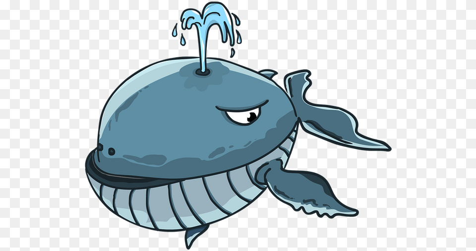 Whale Spout Animation, Electronics, Hardware, Animal, Sea Life Png