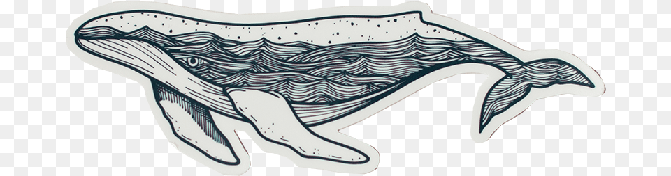 Whale Stickers, Animal, Mammal, Sea Life, Art Png Image